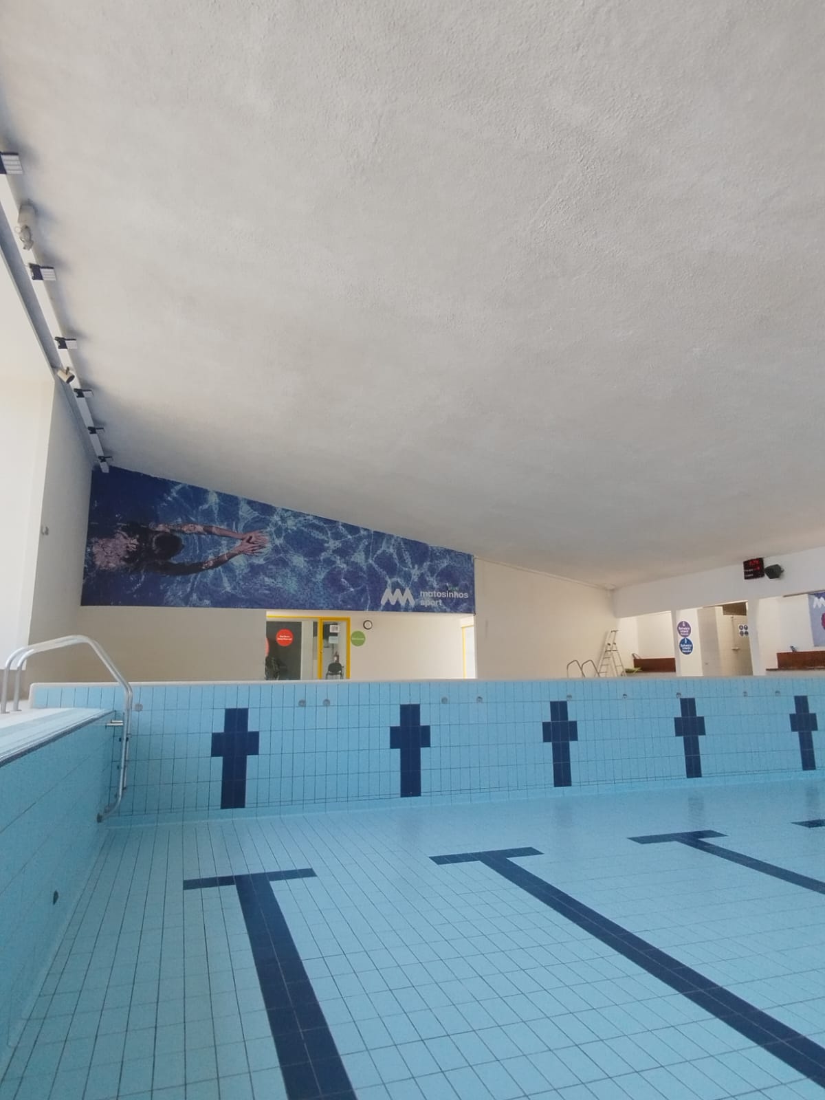 Celulose projetada em pisciana